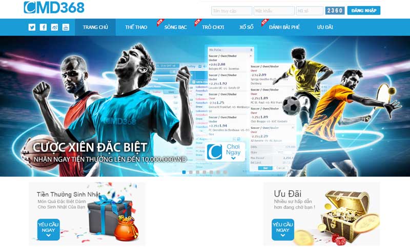 Giao diện website và ứng dụng của Cmd368